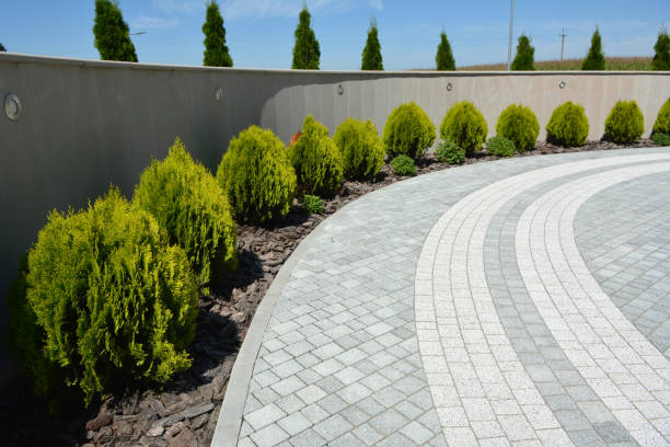 Best Decorative Driveway Pavers  in Saginaw, MI